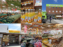 和歌山県内の直売所